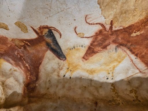 Be astonished by the prehistoric paintings of Lascaux cave